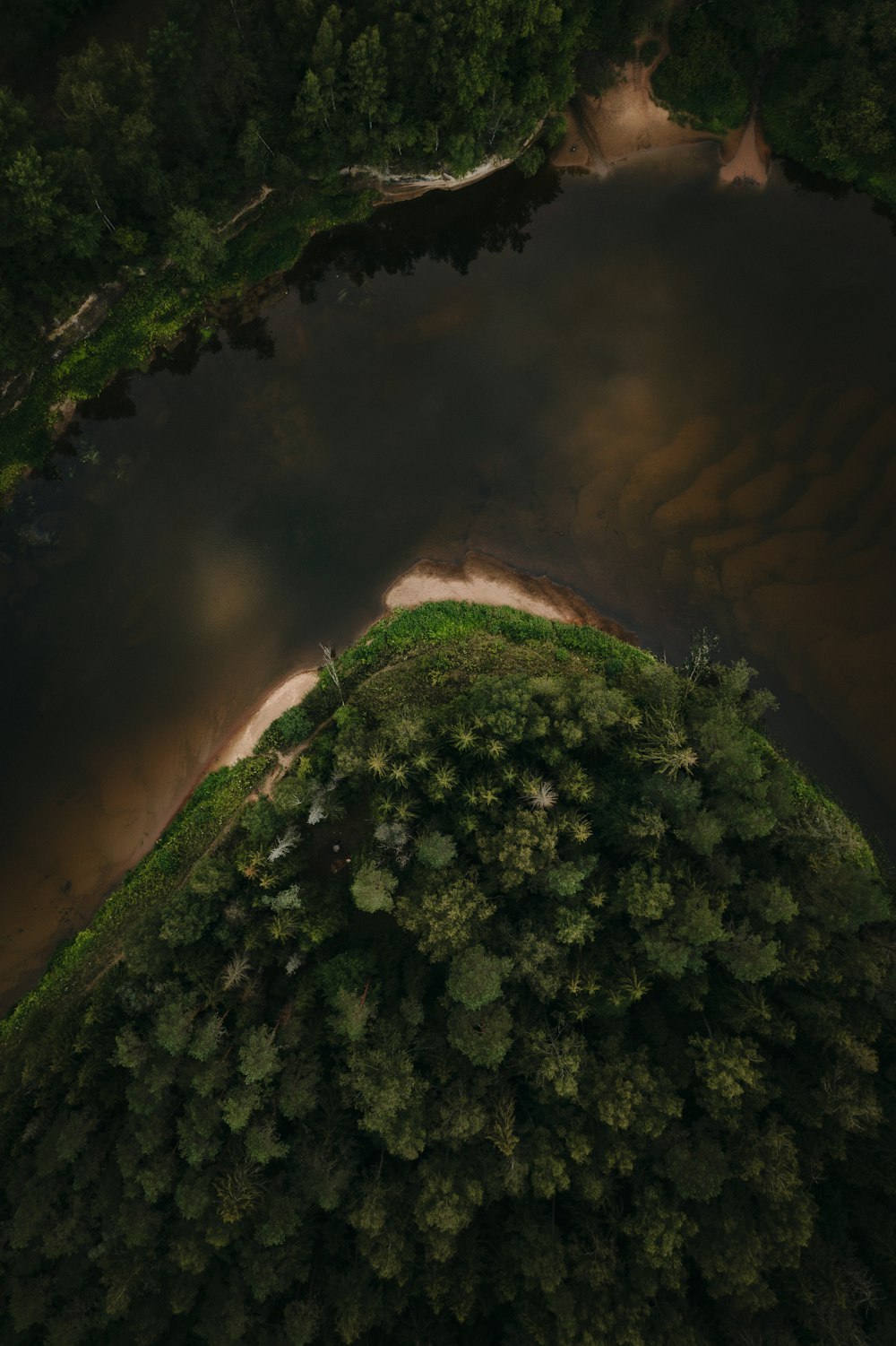 green and brown mountain with water