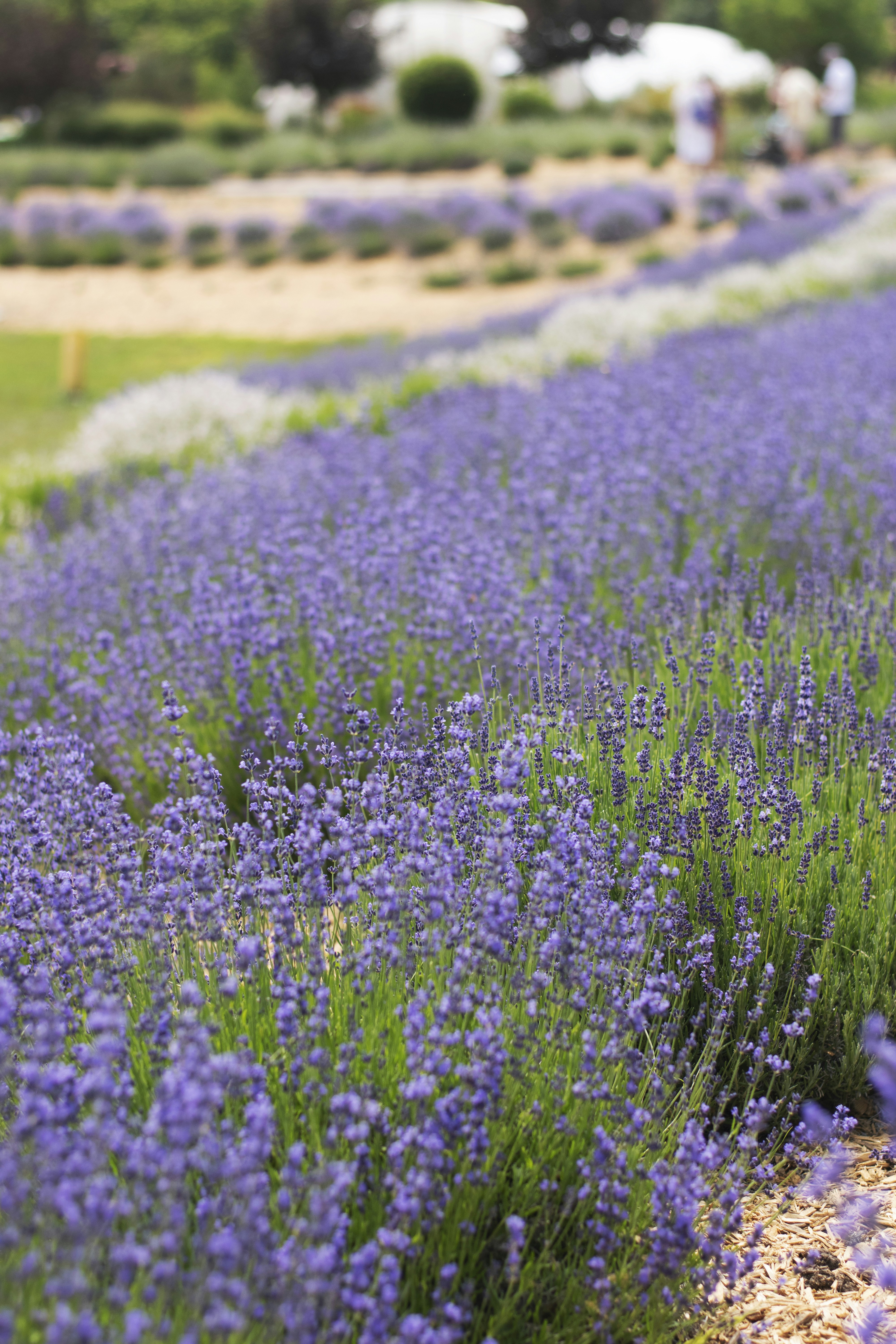 Photo by tayannphoto