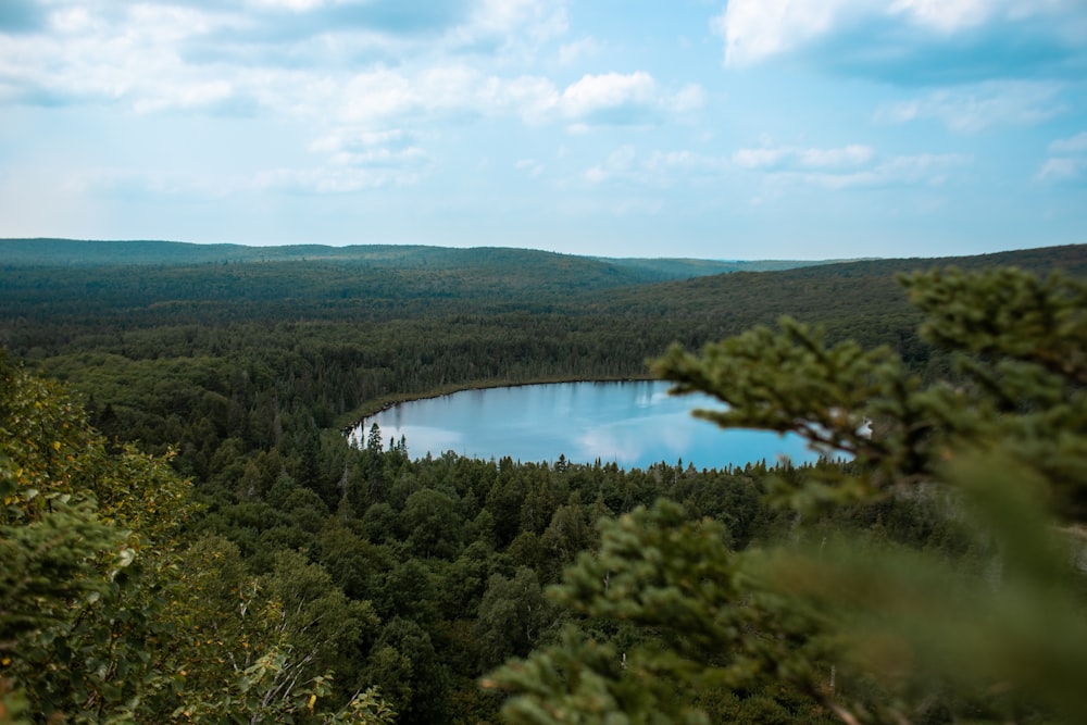 Árboles verdes cerca del lago bajo el cielo azul durante el día