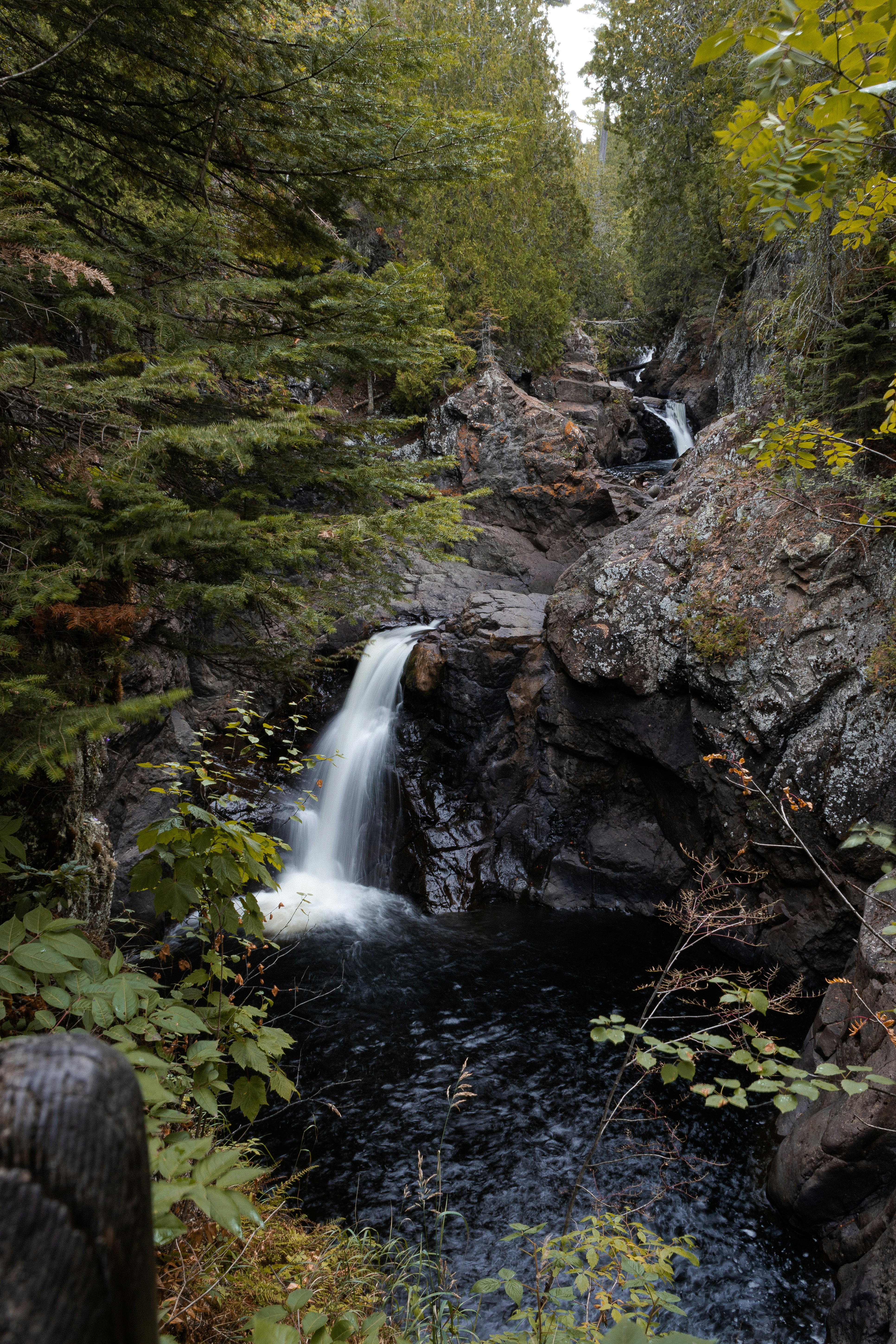 water falls in the middle of the forest