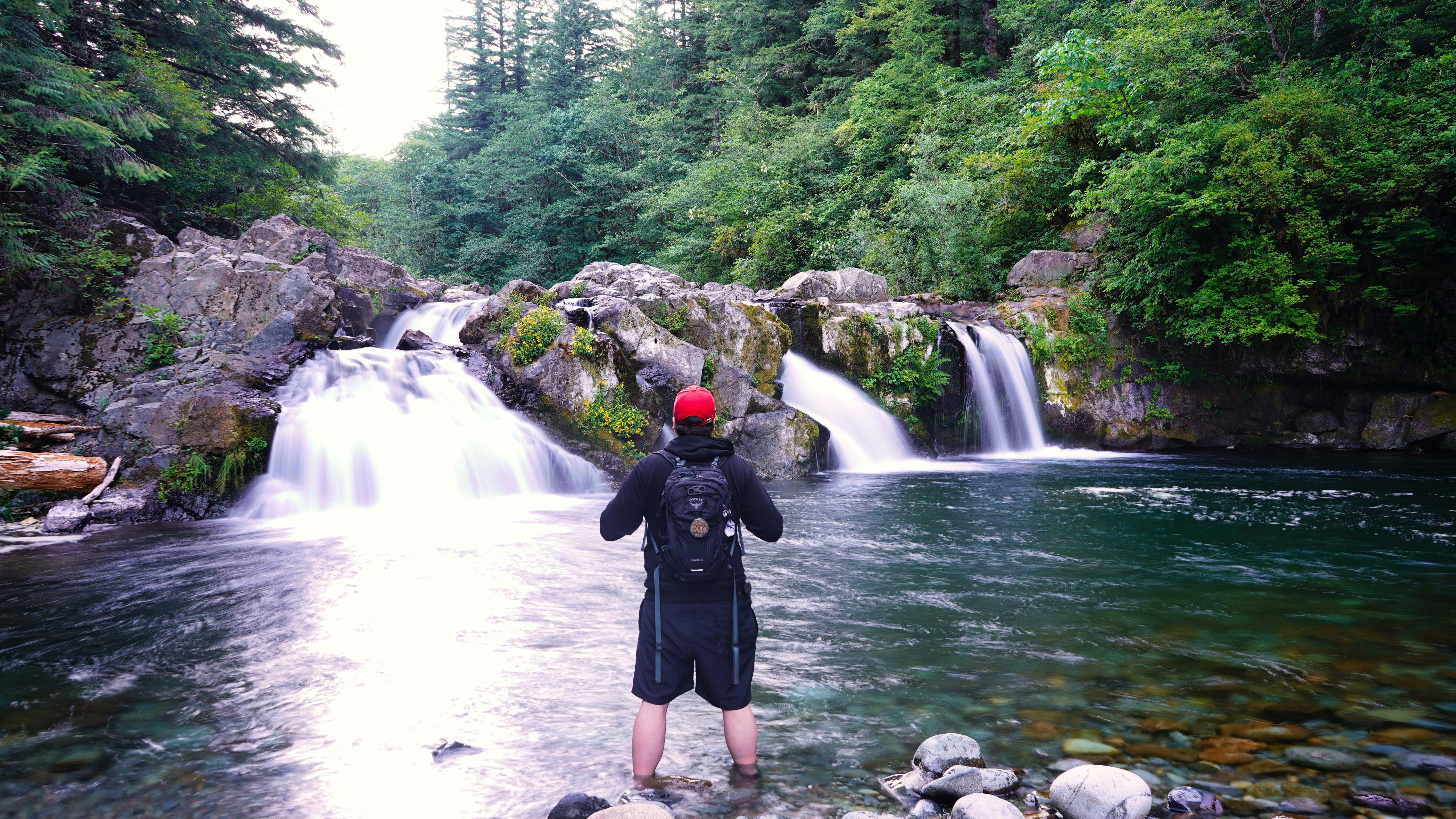 Spend More, Save More: The Surprising Economics of Wild Salmon Conservation