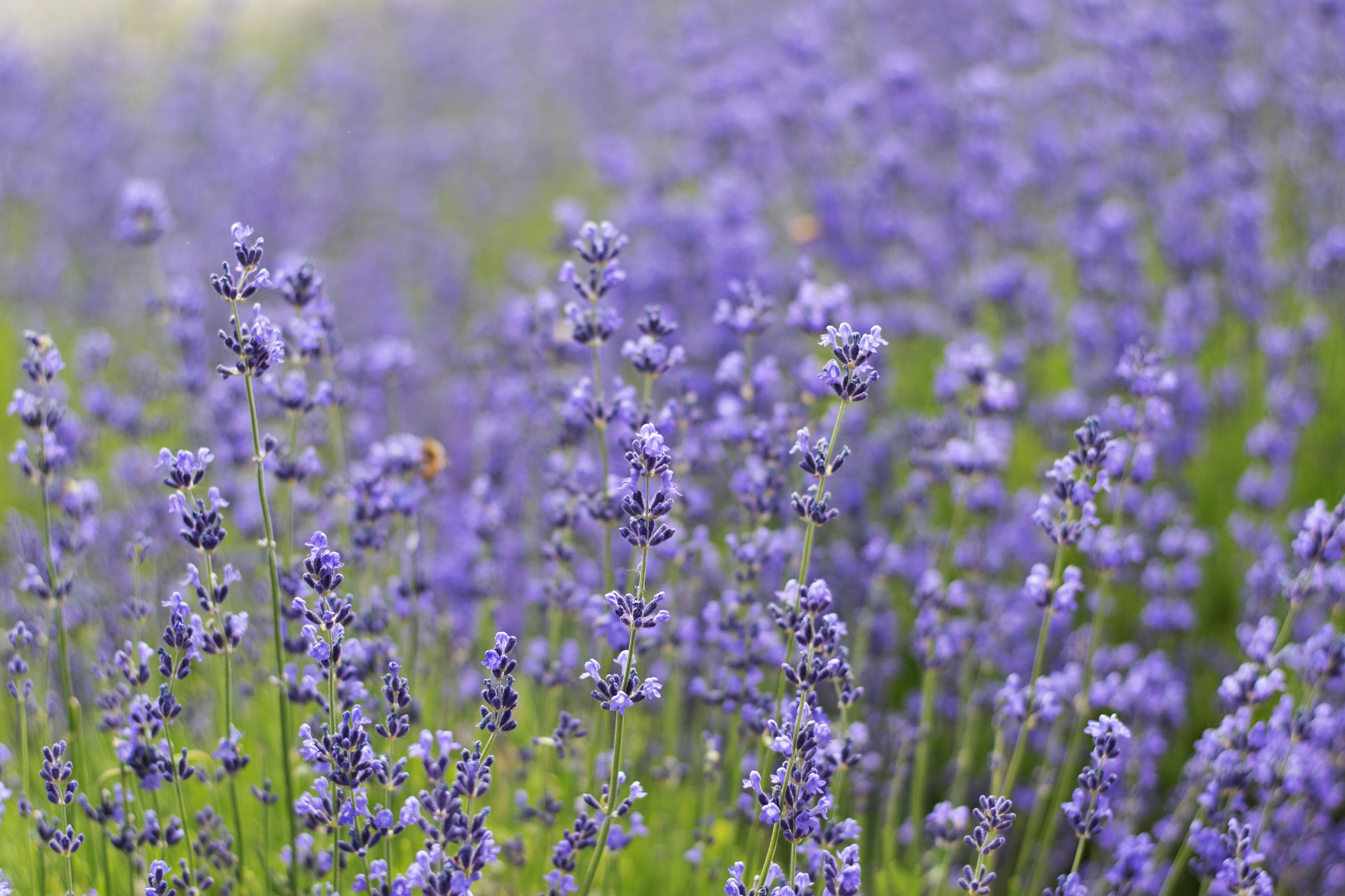 Photo by tayannphoto