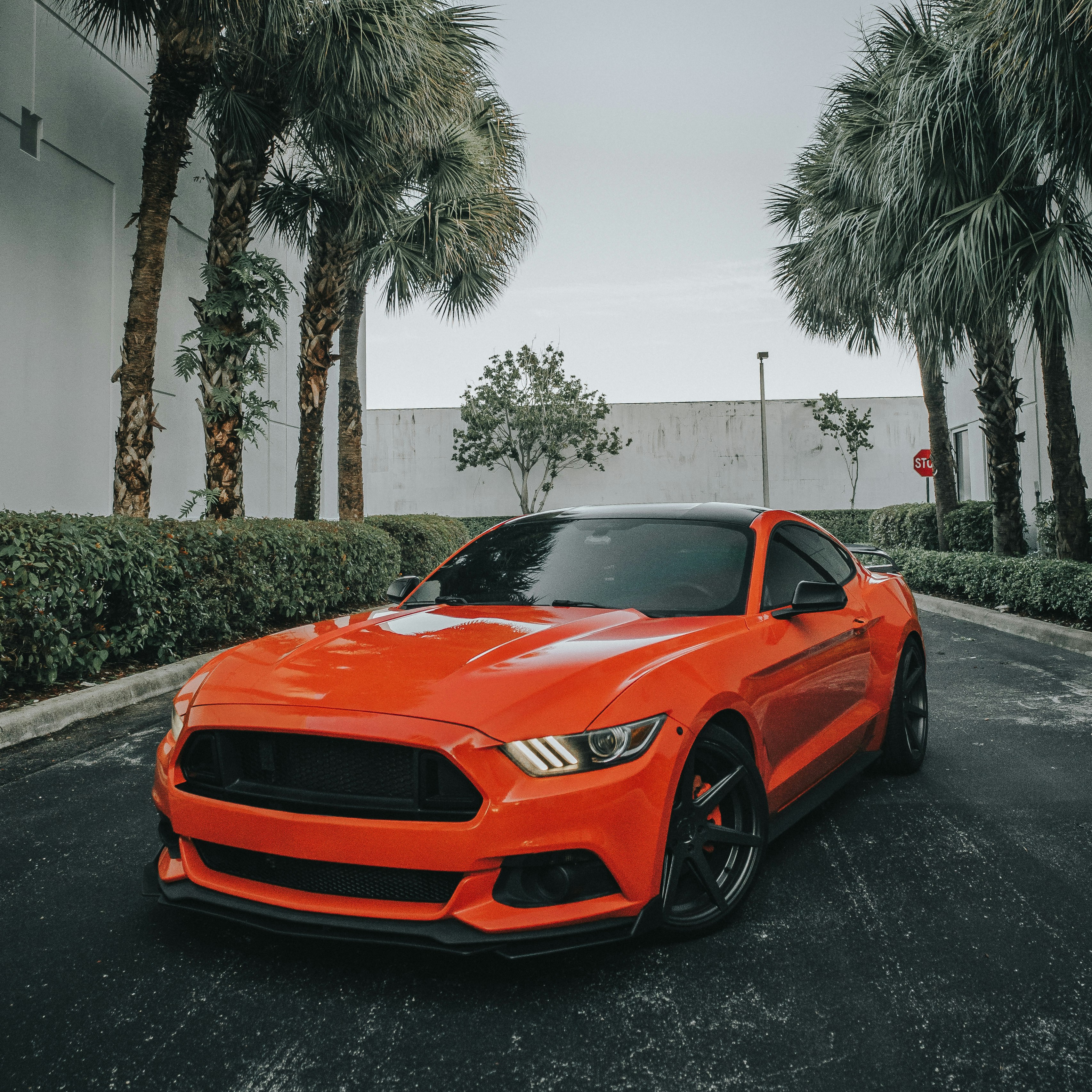 Photo by andredantan19