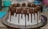 A beautifully decorated chocolate cake with a white frosting base. The cake has chocolate ganache dripping down the sides and is topped with chocolate truffles, each sprinkled with small gold beads.