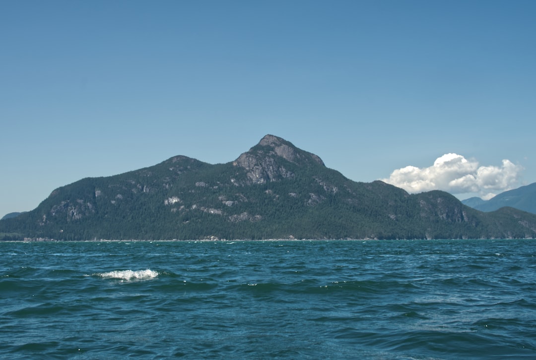 green and black mountain beside sea under blue sky during daytime