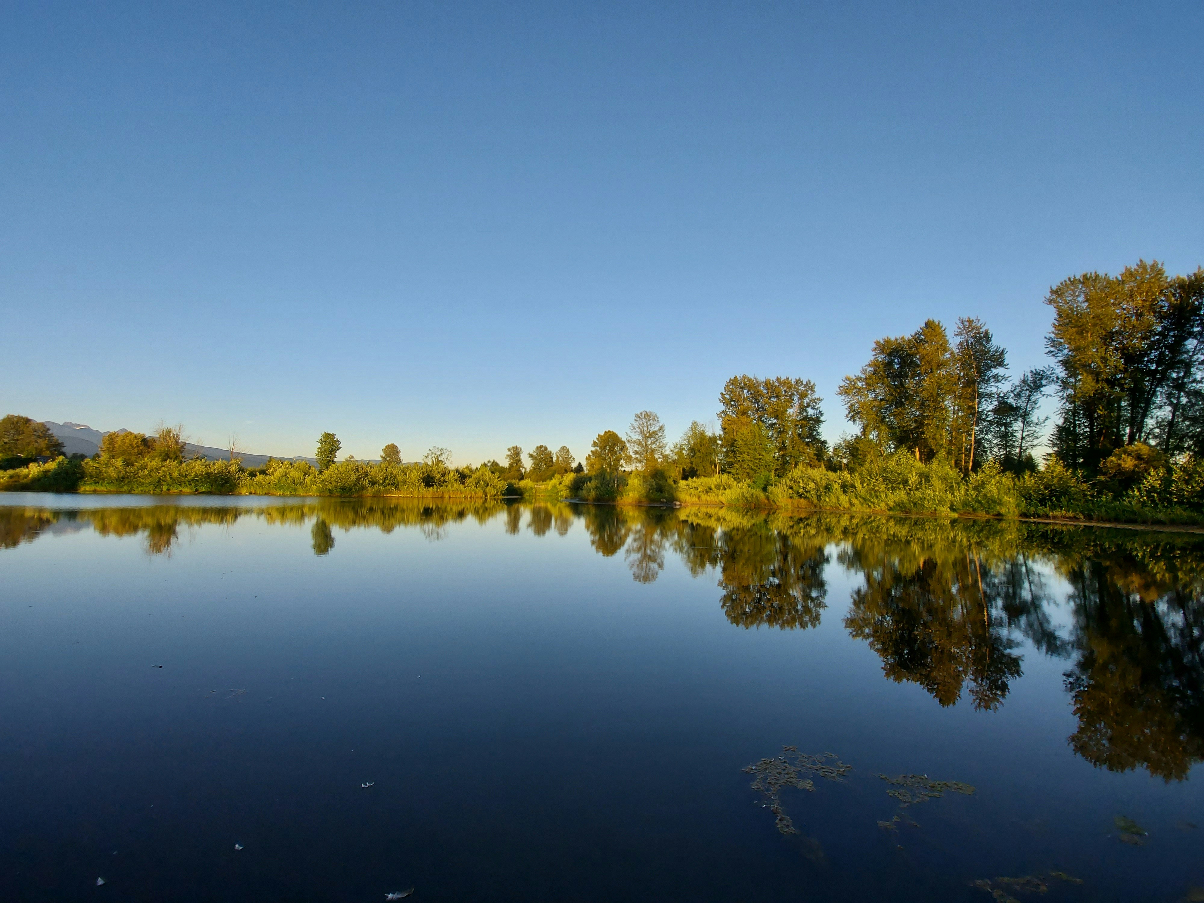 Photo by geoffhall46