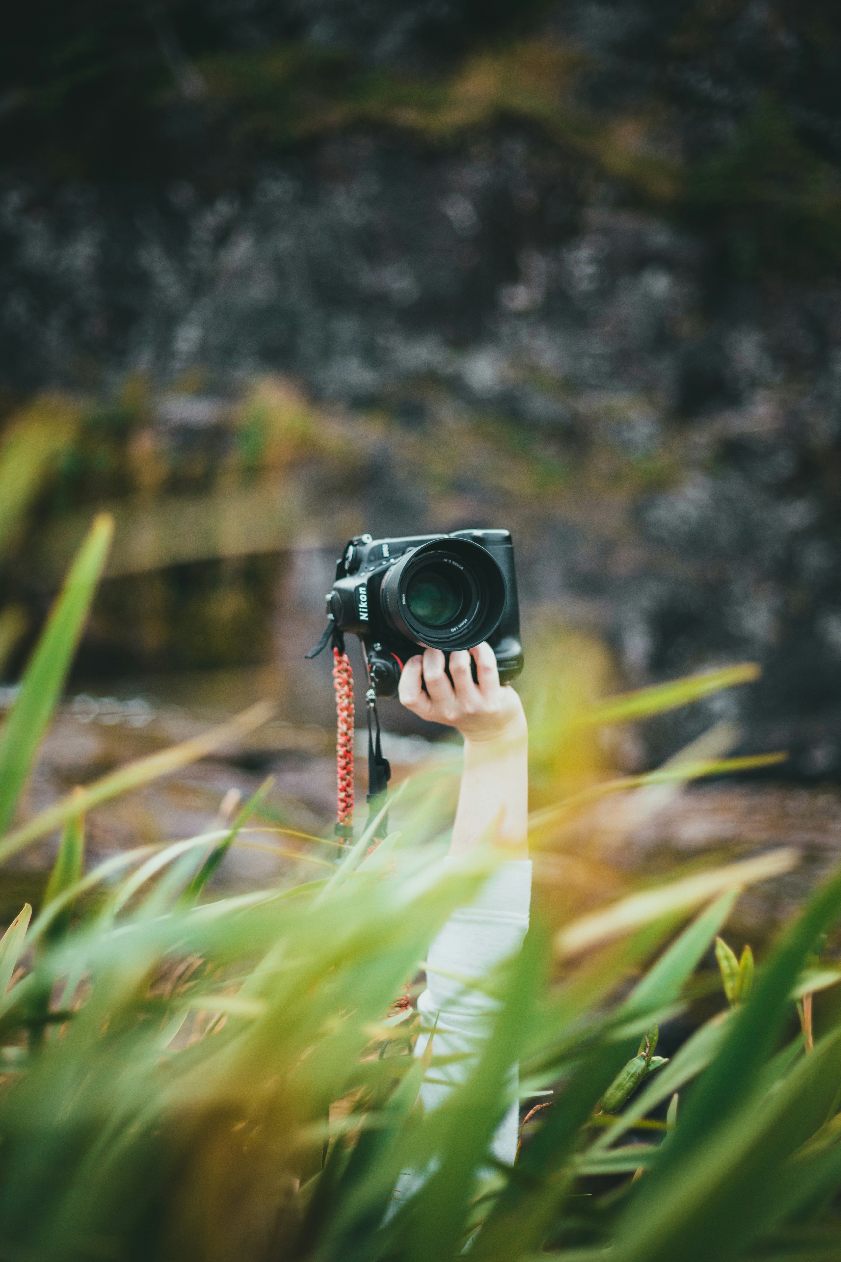 Photo by introspectivedsgn