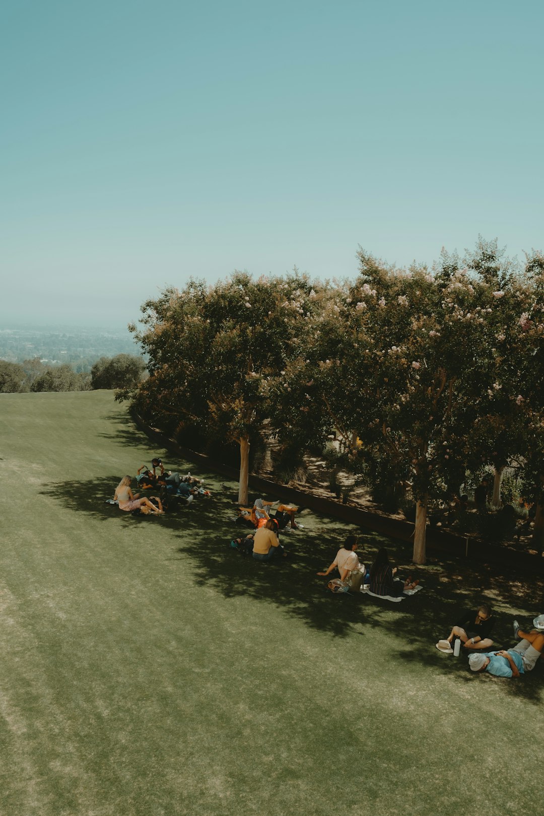 people sitting on green grass field near green trees during daytime