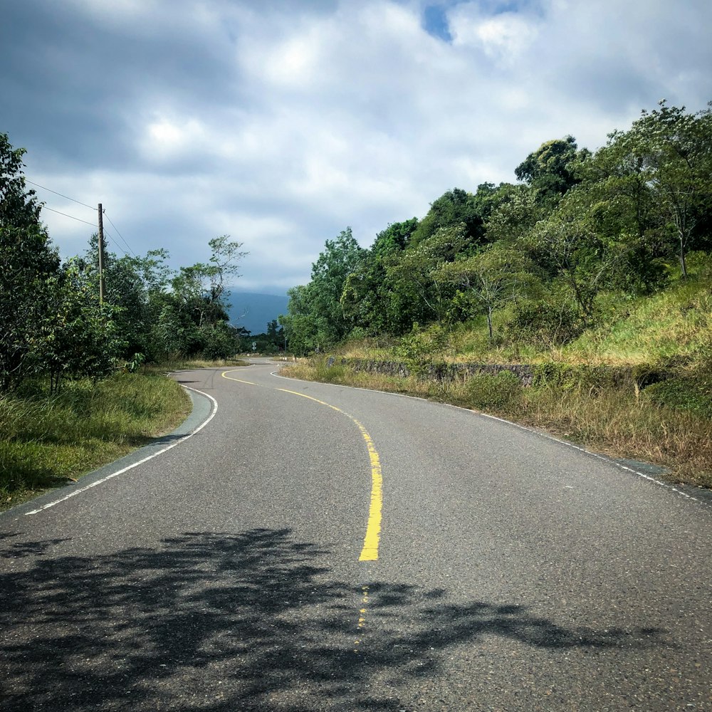 gray concrete road between green trees under blue sky during daytime