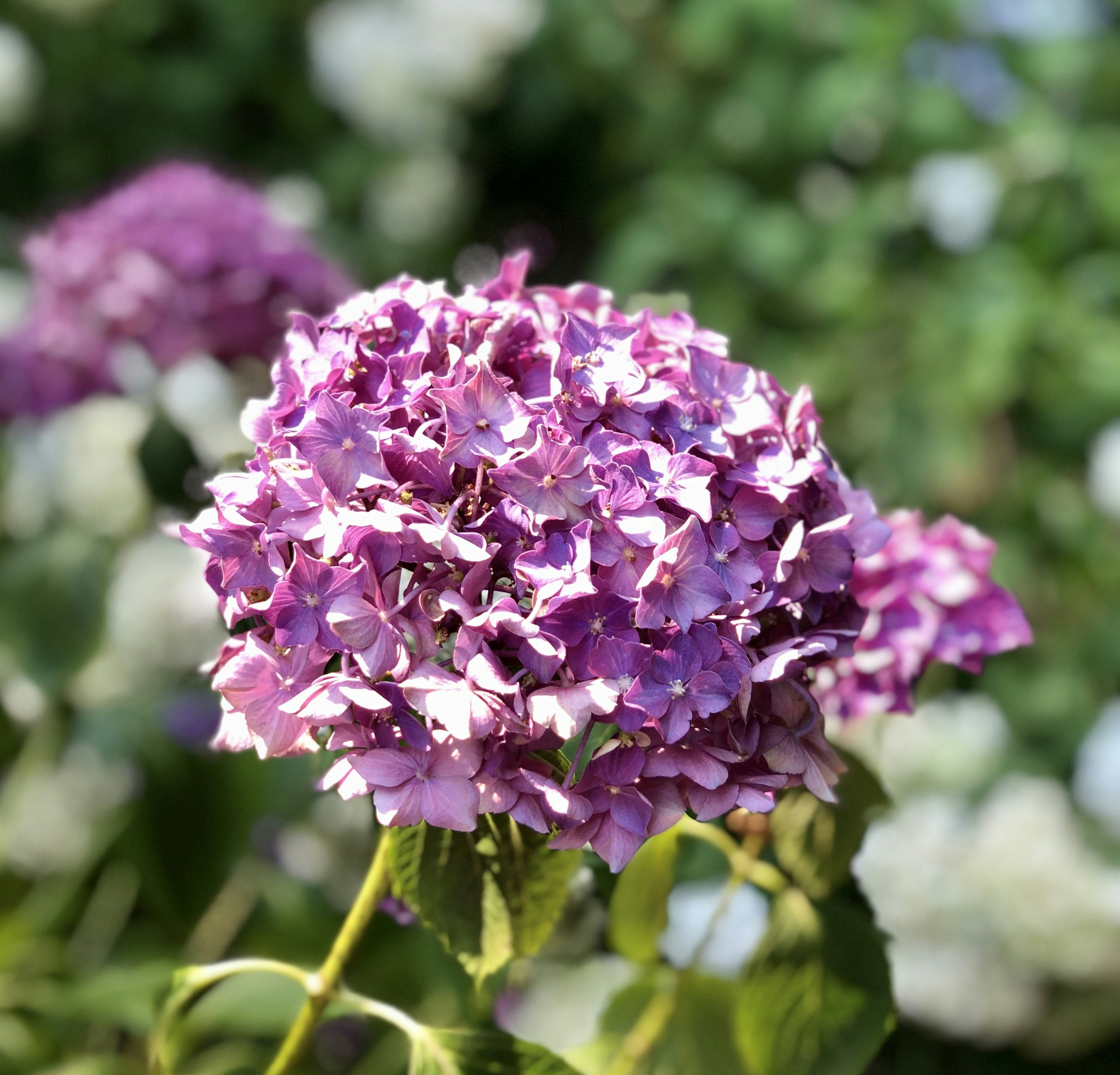 Photo by kylelockett