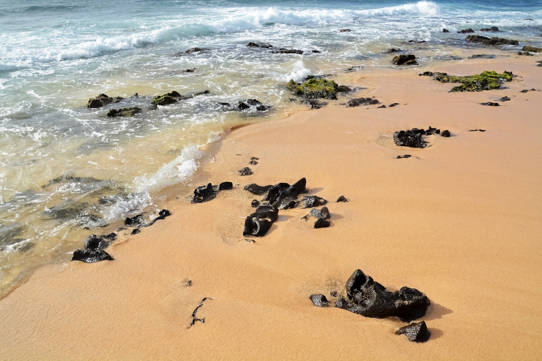 brown sand near body of water during daytime