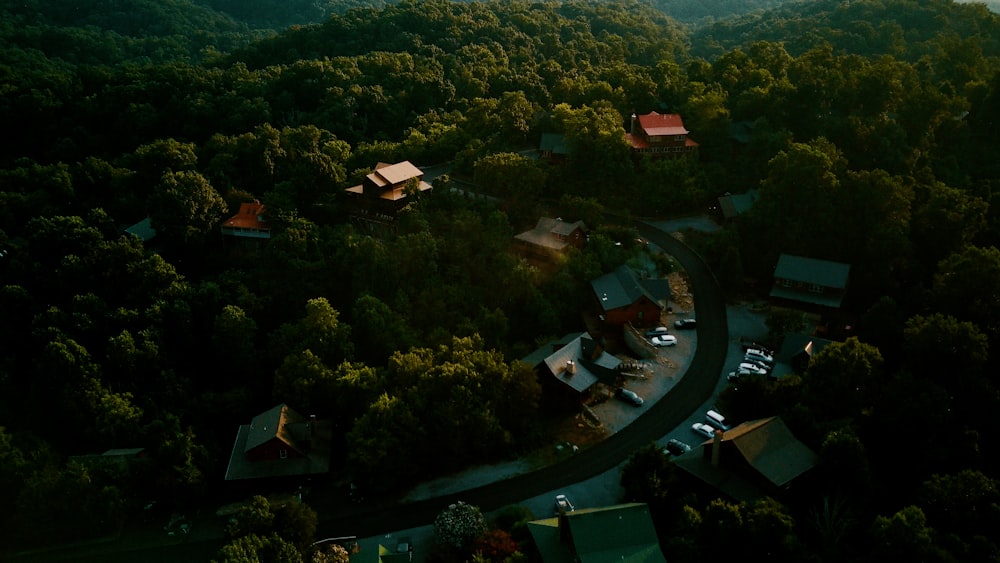 Vista aérea de árboles verdes y casas durante el día