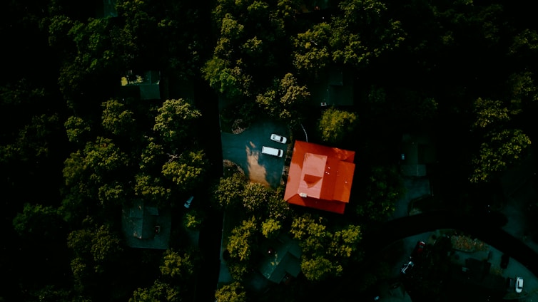 green trees and red box