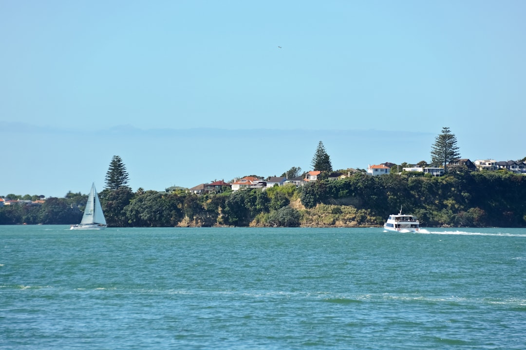 white boat on sea near green trees during daytime