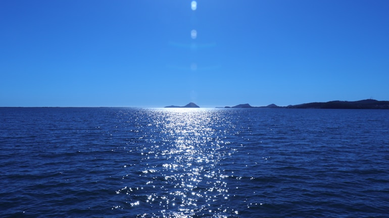An artistic rendering of AI elements floating over a sparkling ocean, framed by tropical flowers and gentle island breezes.