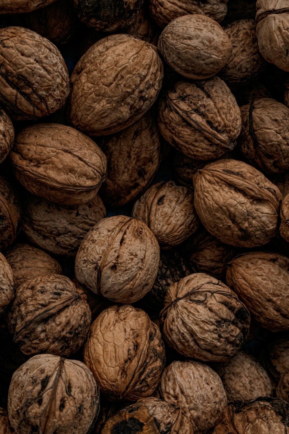 brown and black round fruits