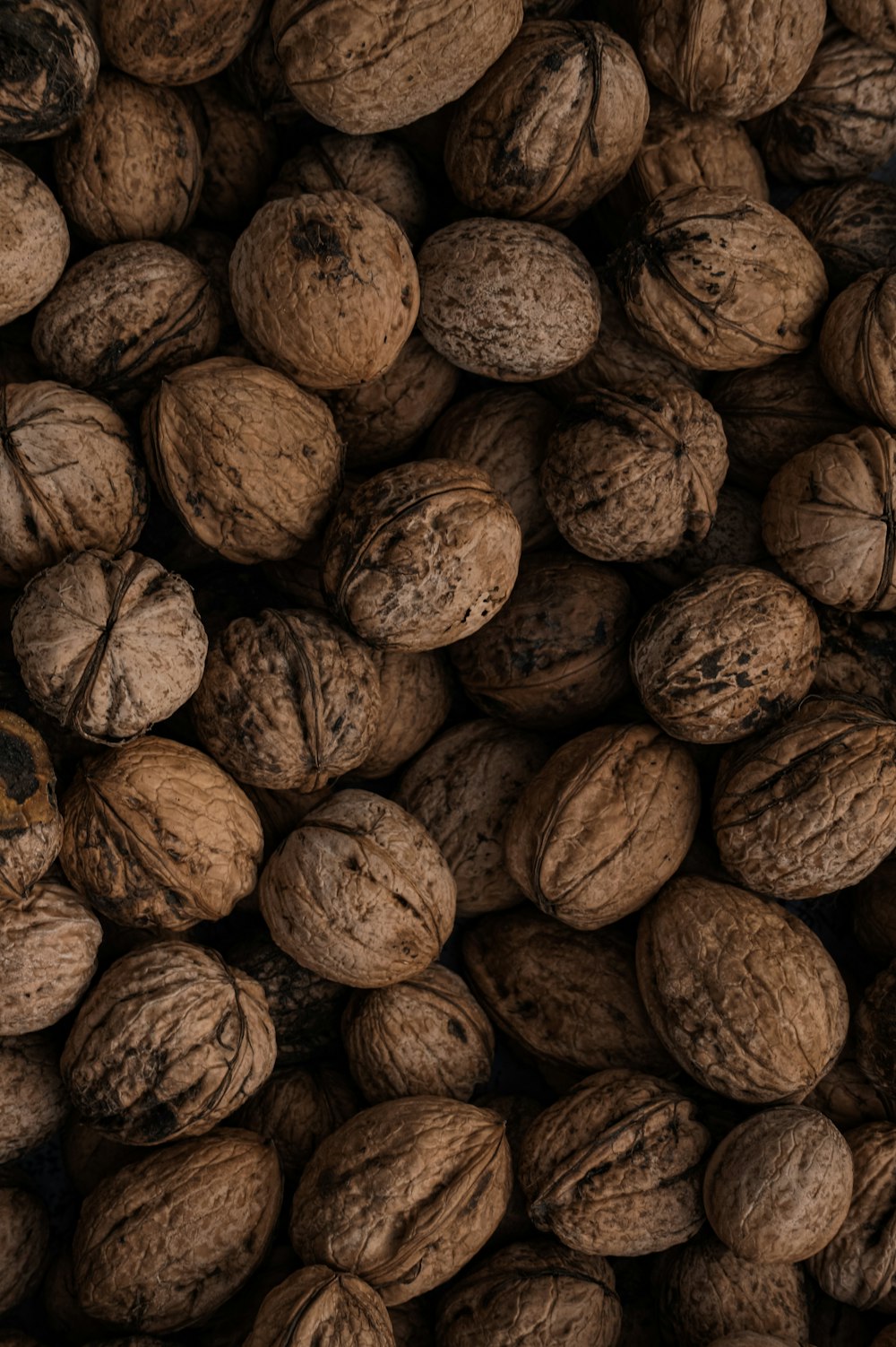 brown and black round fruits