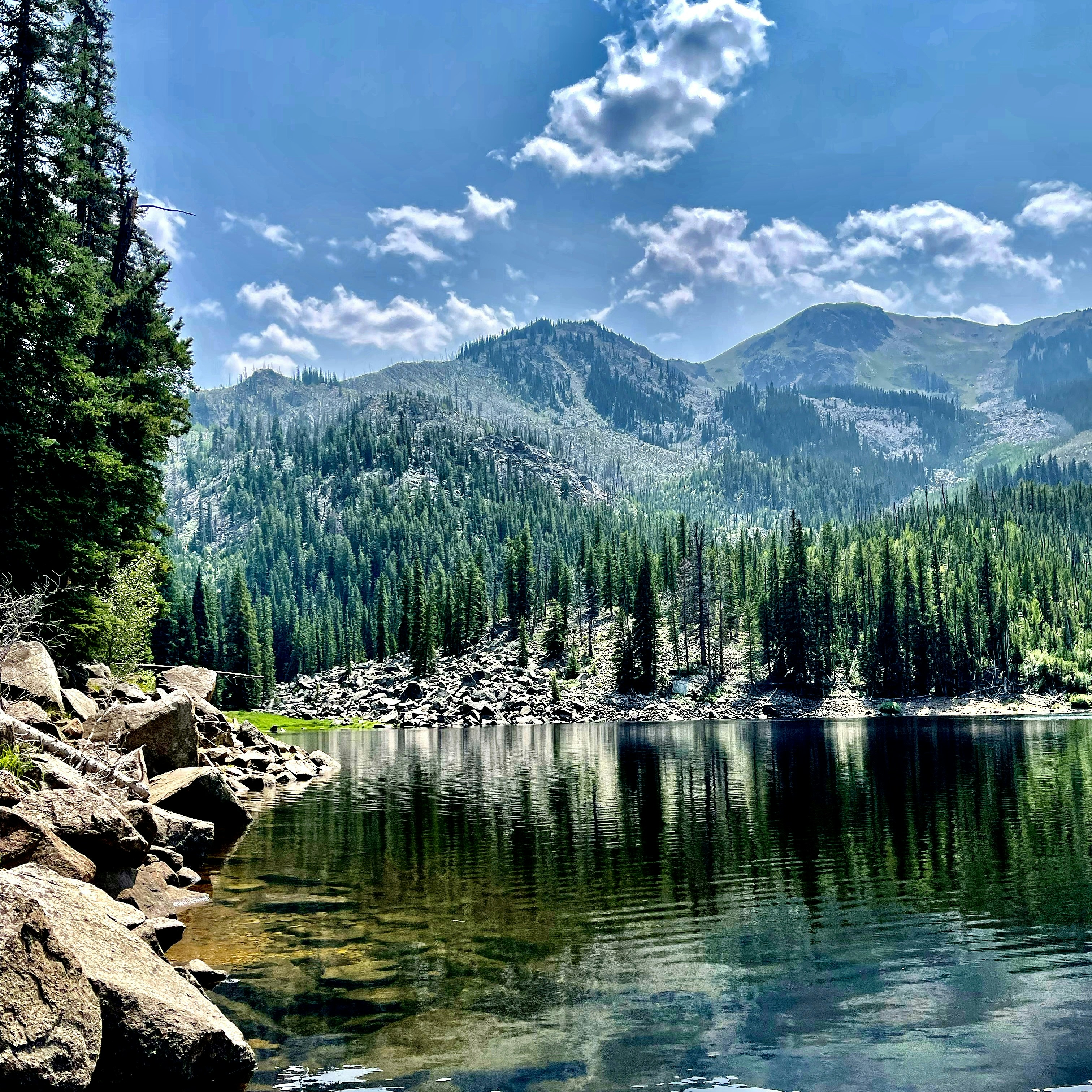 Photo by laitonbarbo