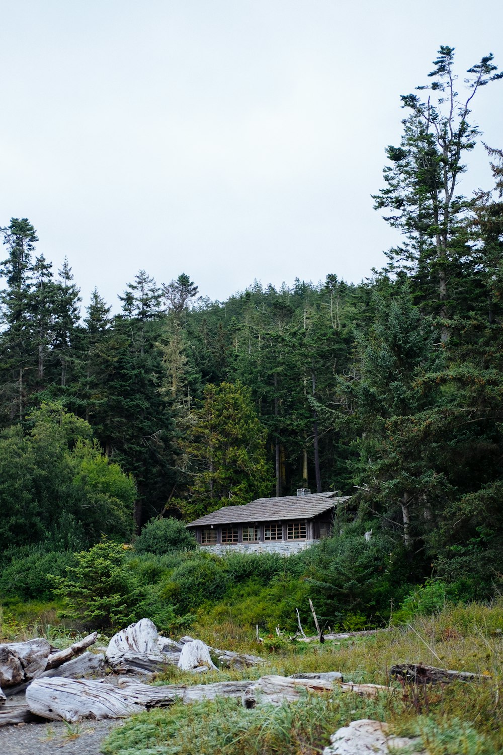 brown and white house surrounded by green trees under white clouds during daytime