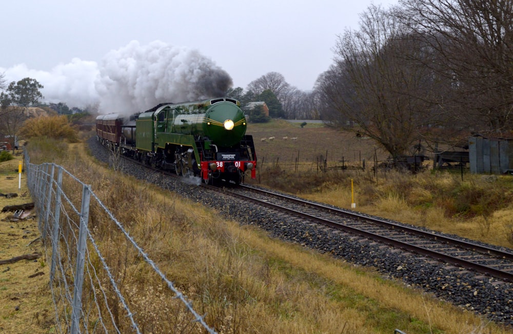 green and black train on rail tracks during daytime