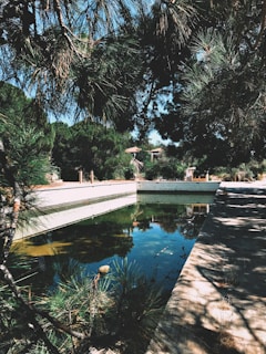people walking on sidewalk near body of water during daytime