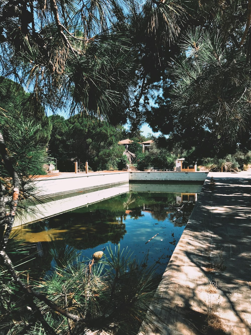 people walking on sidewalk near body of water during daytime