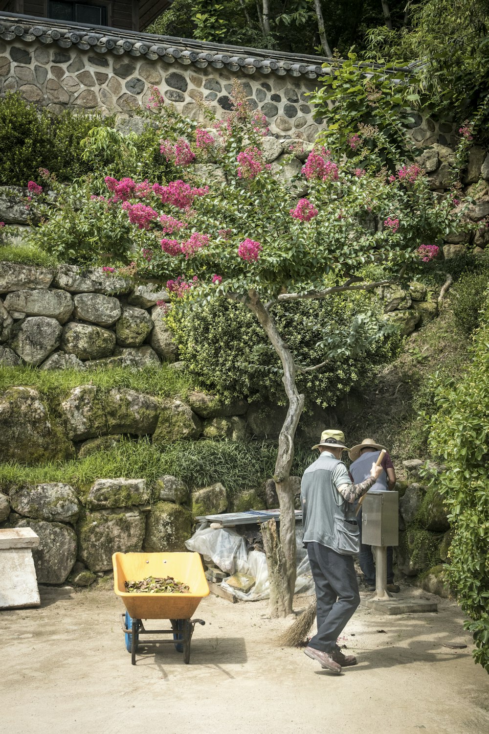 man and woman standing near green and pink plant during daytime