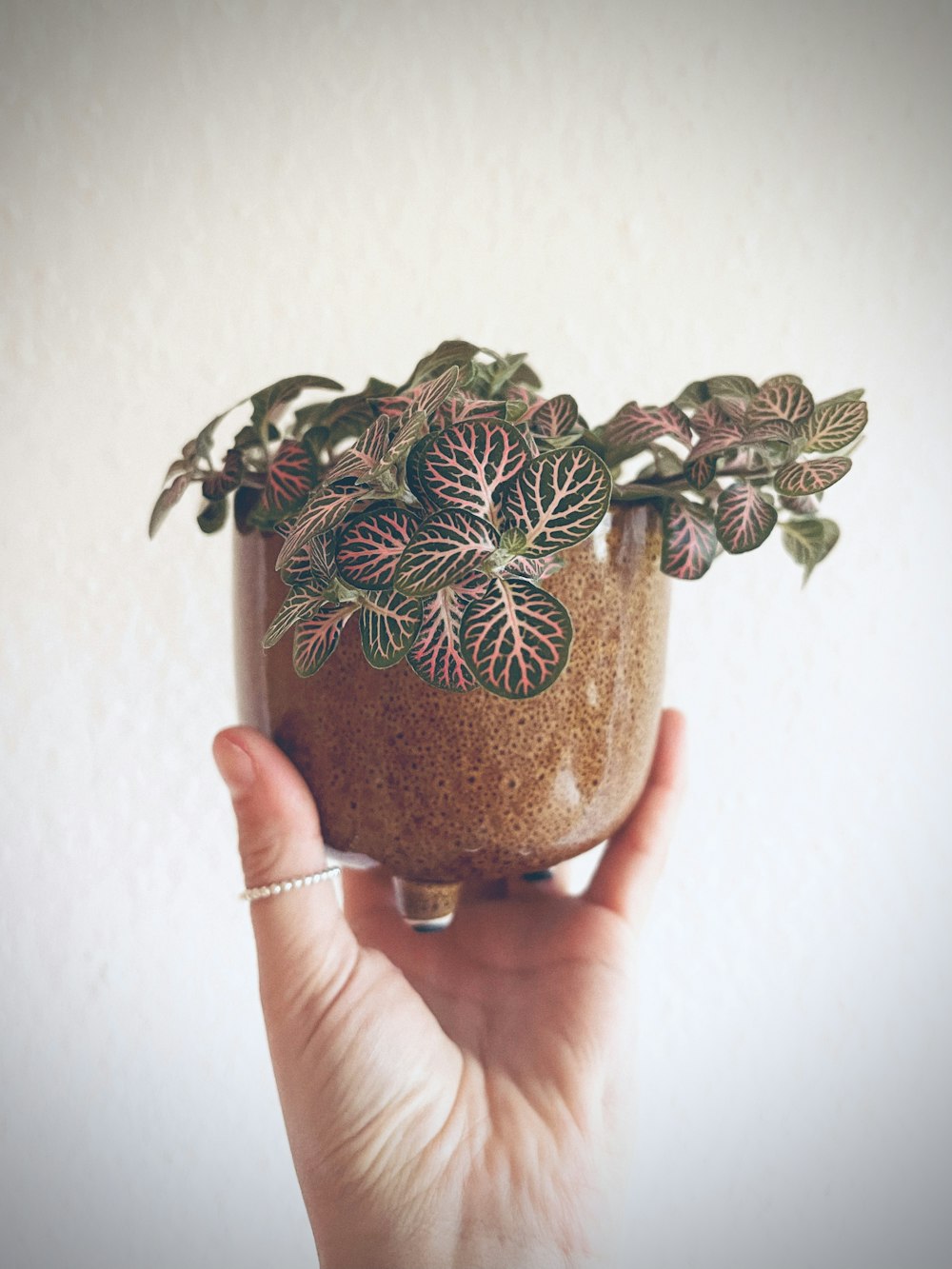 person holding brown and green floral vase