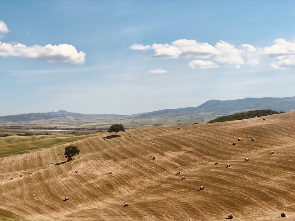 brown field under white clouds during daytime