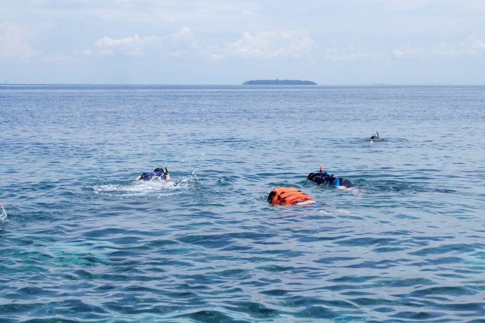 2 person swimming on sea during daytime