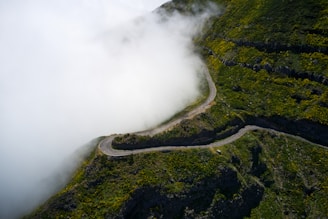 green trees on mountain under white clouds during daytime