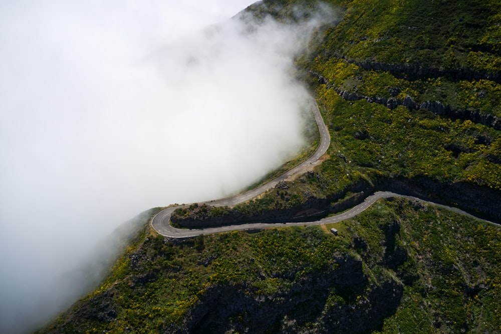 green trees on mountain under white clouds during daytime