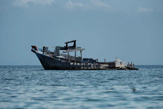 black and white ship on sea during daytime