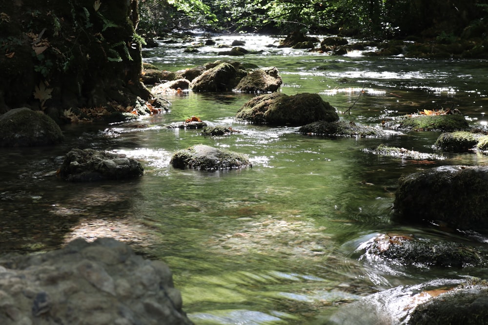 river in the middle of rocks