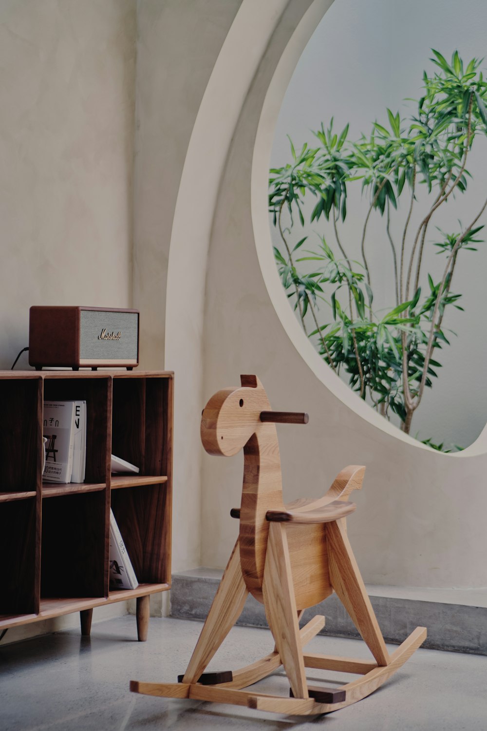 green plant on brown wooden shelf