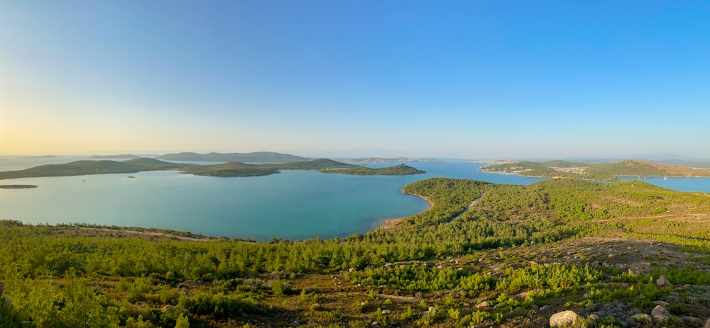 Campo de hierba verde cerca del cuerpo de agua durante el día