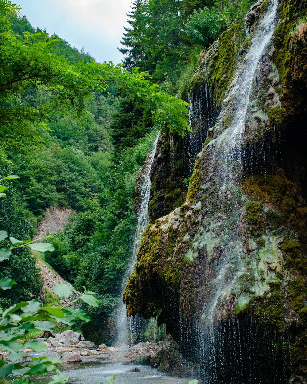 waterfalls in the middle of green trees