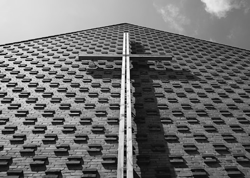 Photo 1628418562777 69bdd5f665df?q=85&w=500&h=500&fit=crop