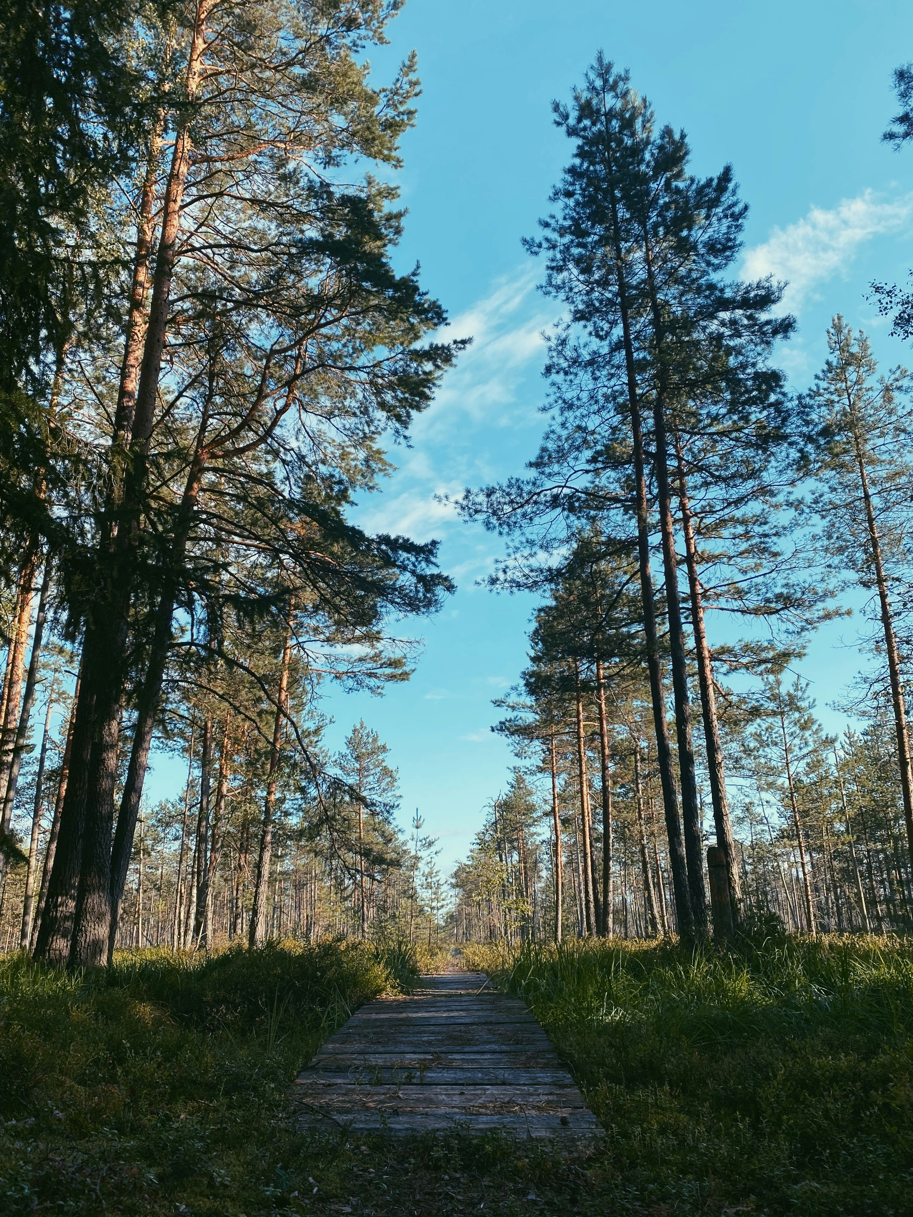Photo by vinahradau