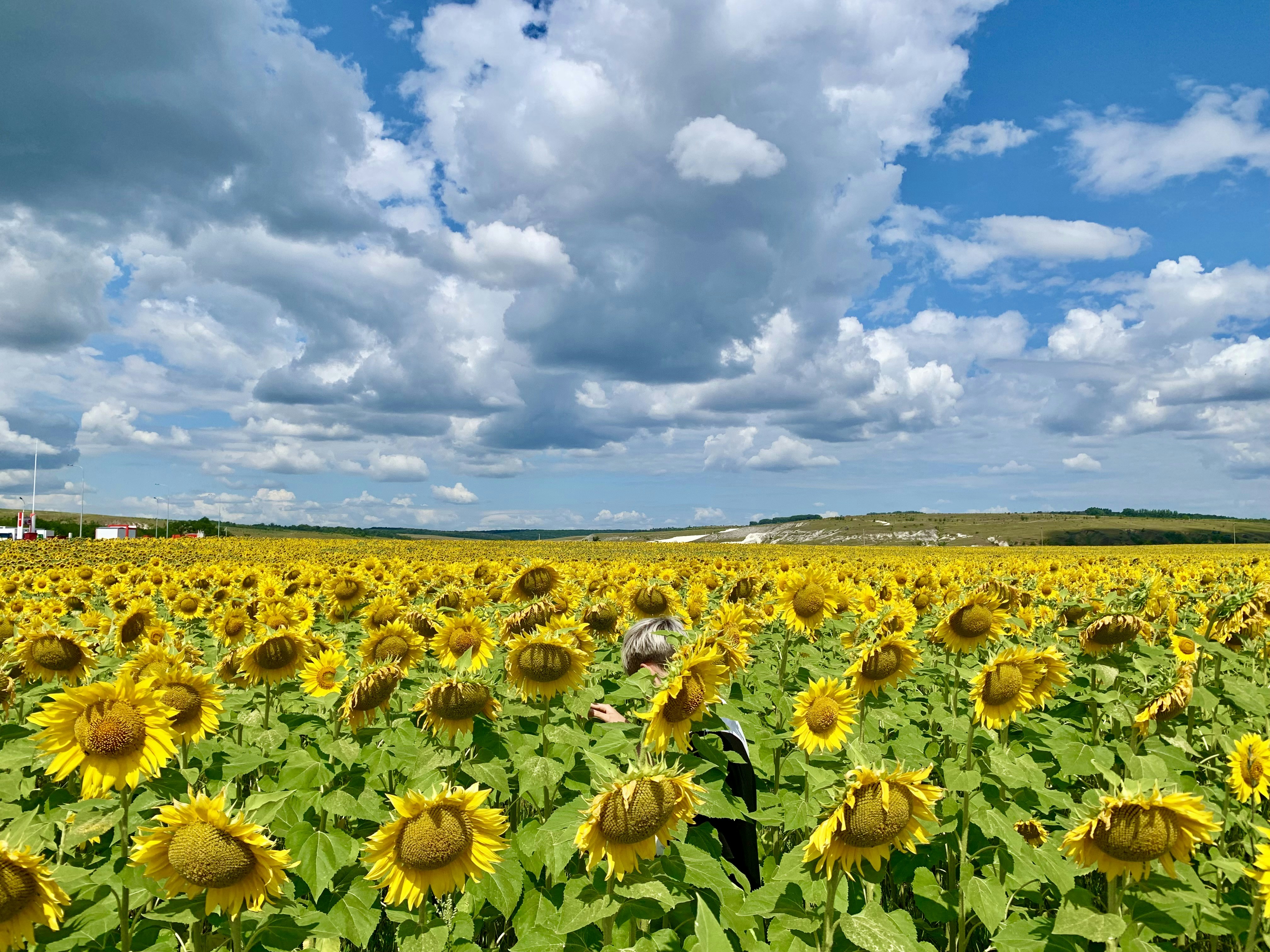 Photo by mrgreedyfox