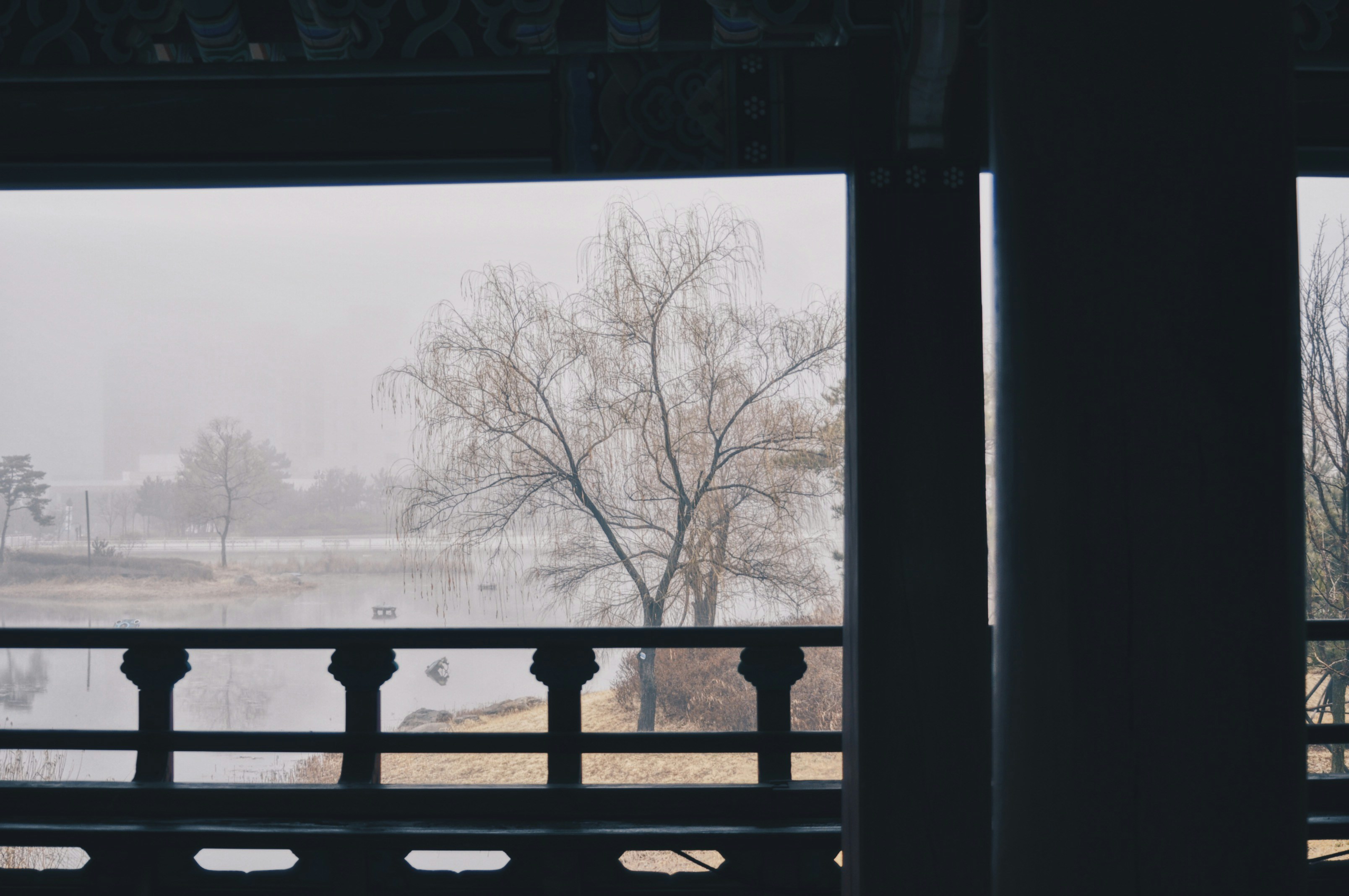 Photo by damelizhantas