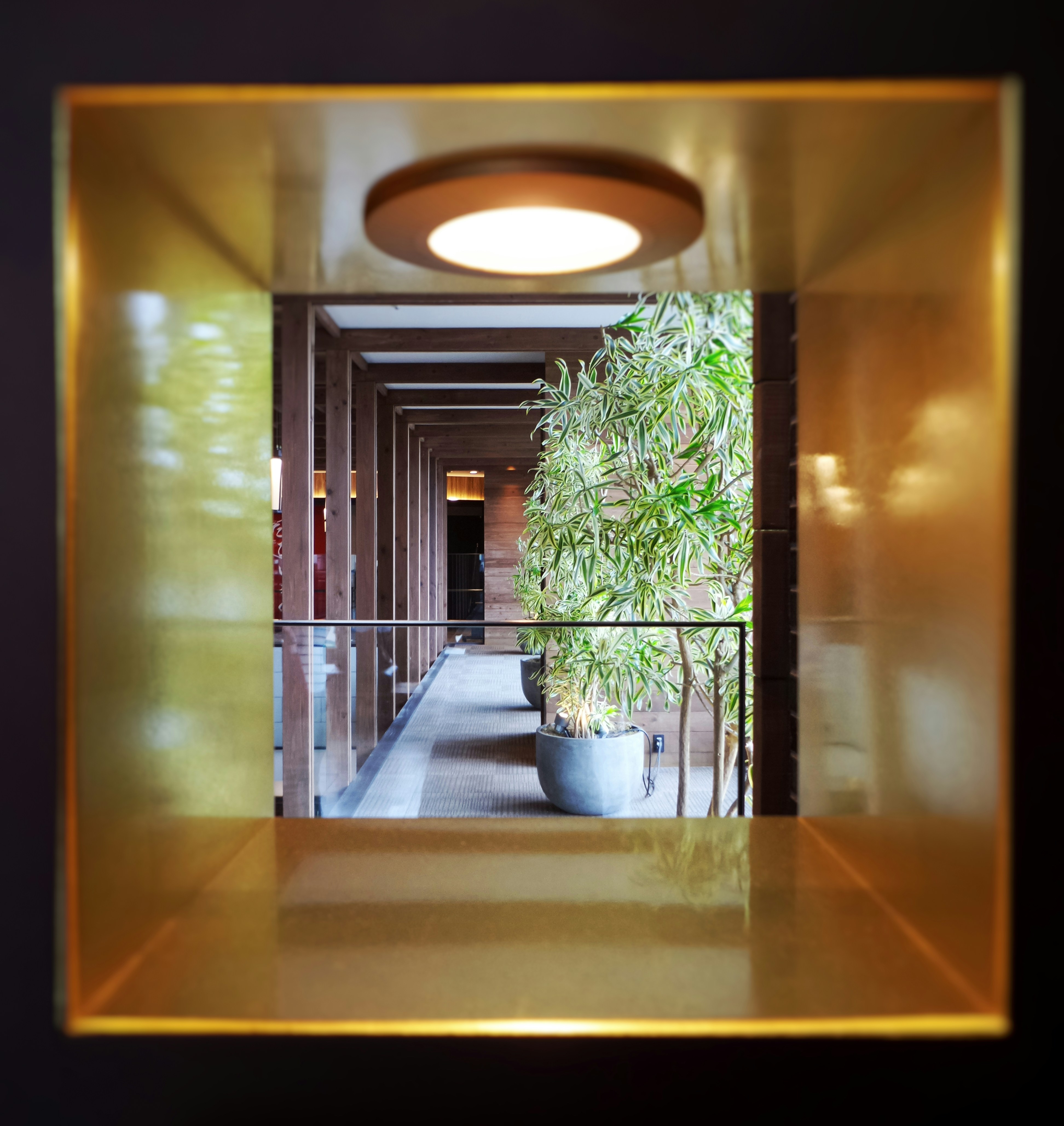 Photo by possessedphotography