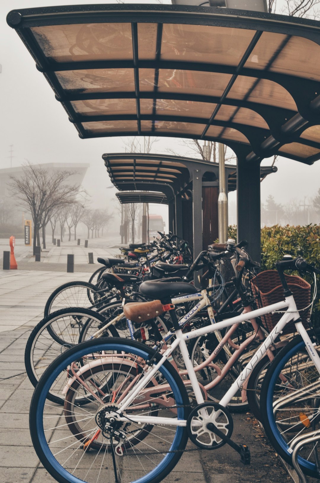 black and gray cruiser bicycles parked on gray concrete pavement during daytime