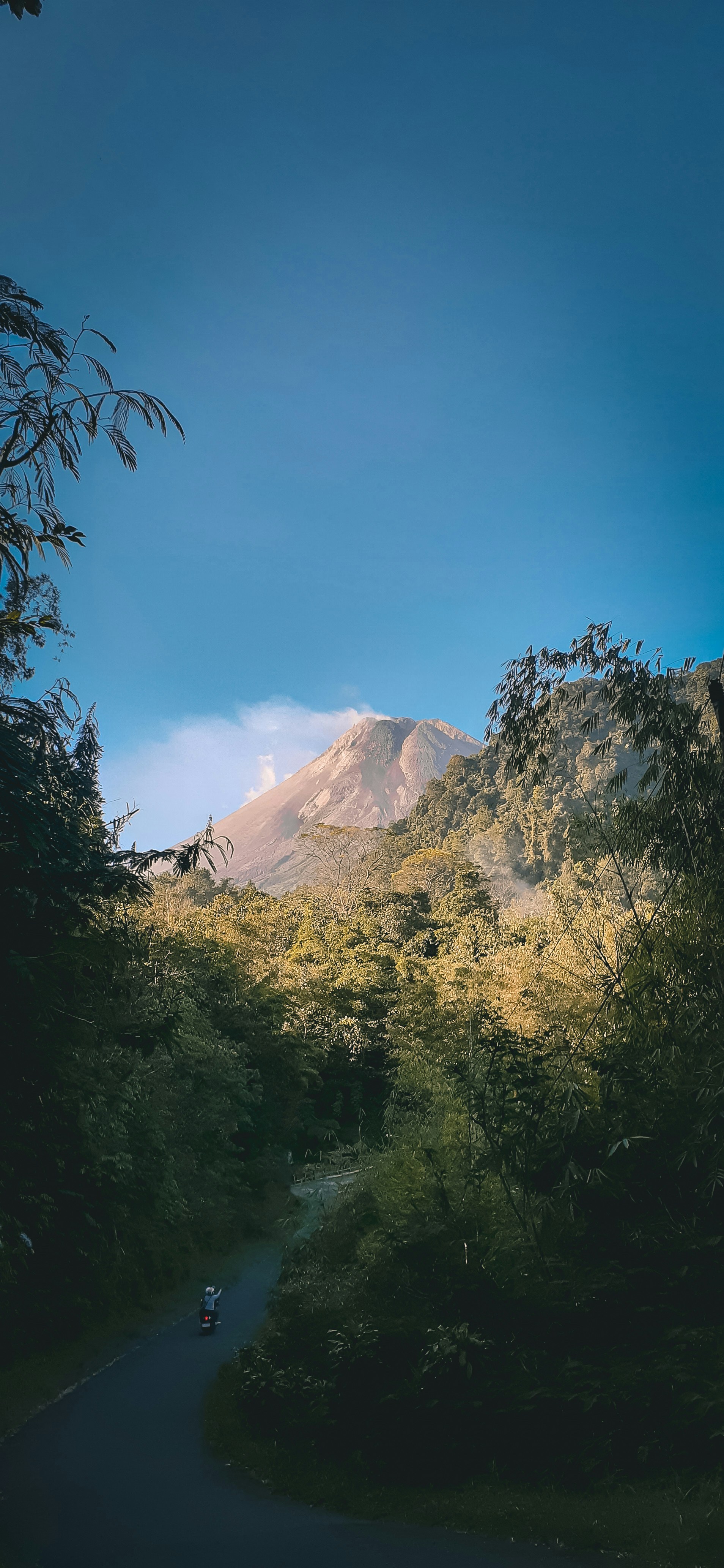 Threats to Paradise (image credits: unsplash)