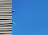High-resolution image of surveillance cameras installed on a modern building facade.