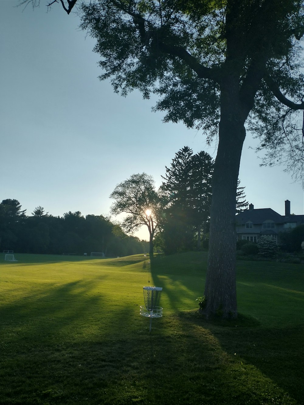 green grass field with trees during daytime