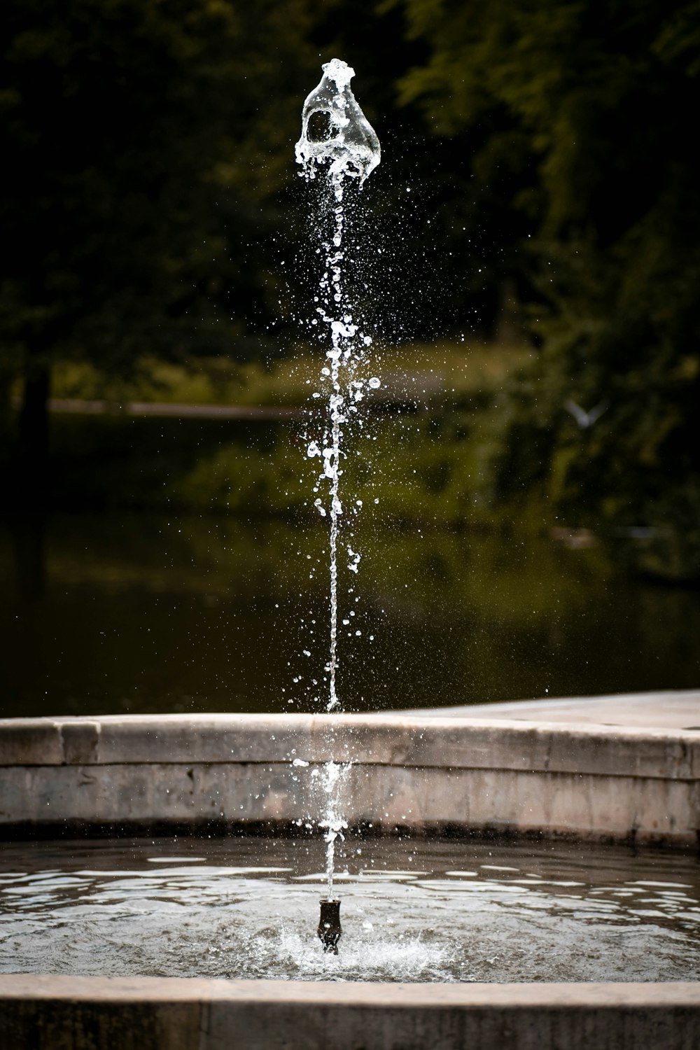 water fountain in the middle of the forest