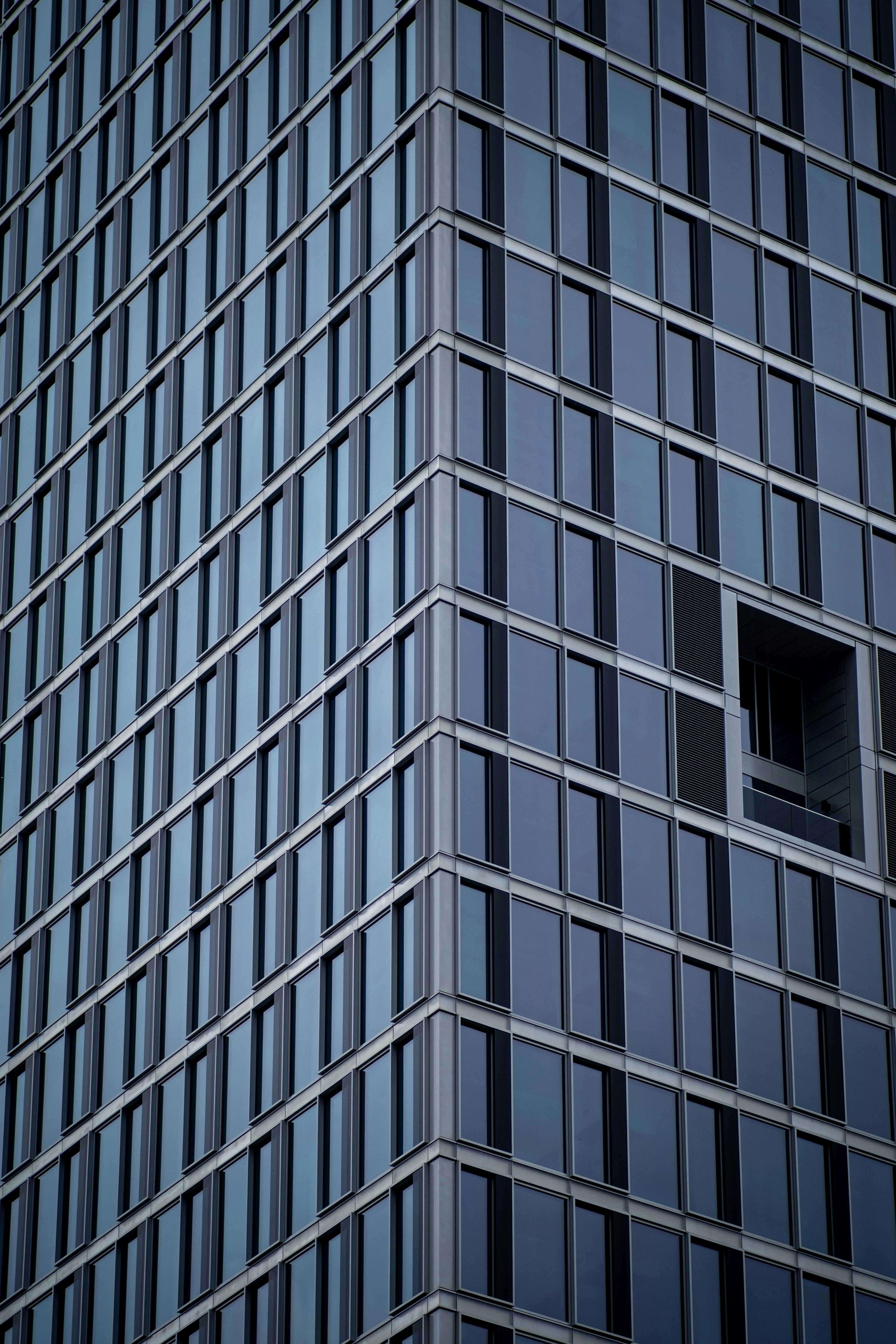 Photo by mat7451