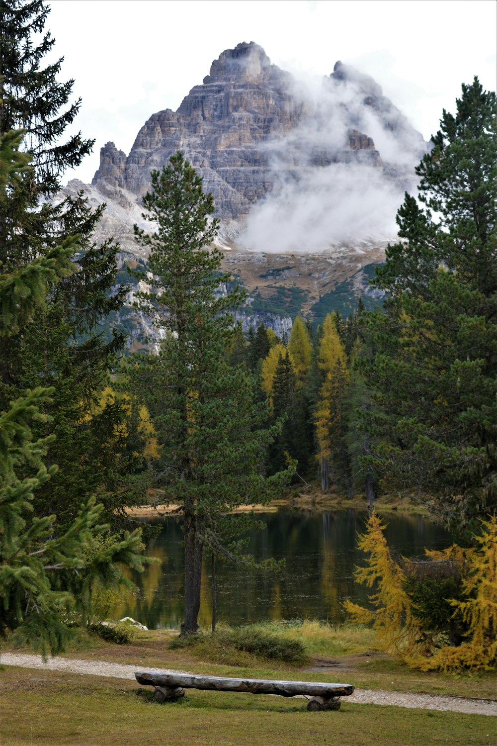 green trees near lake and mountain