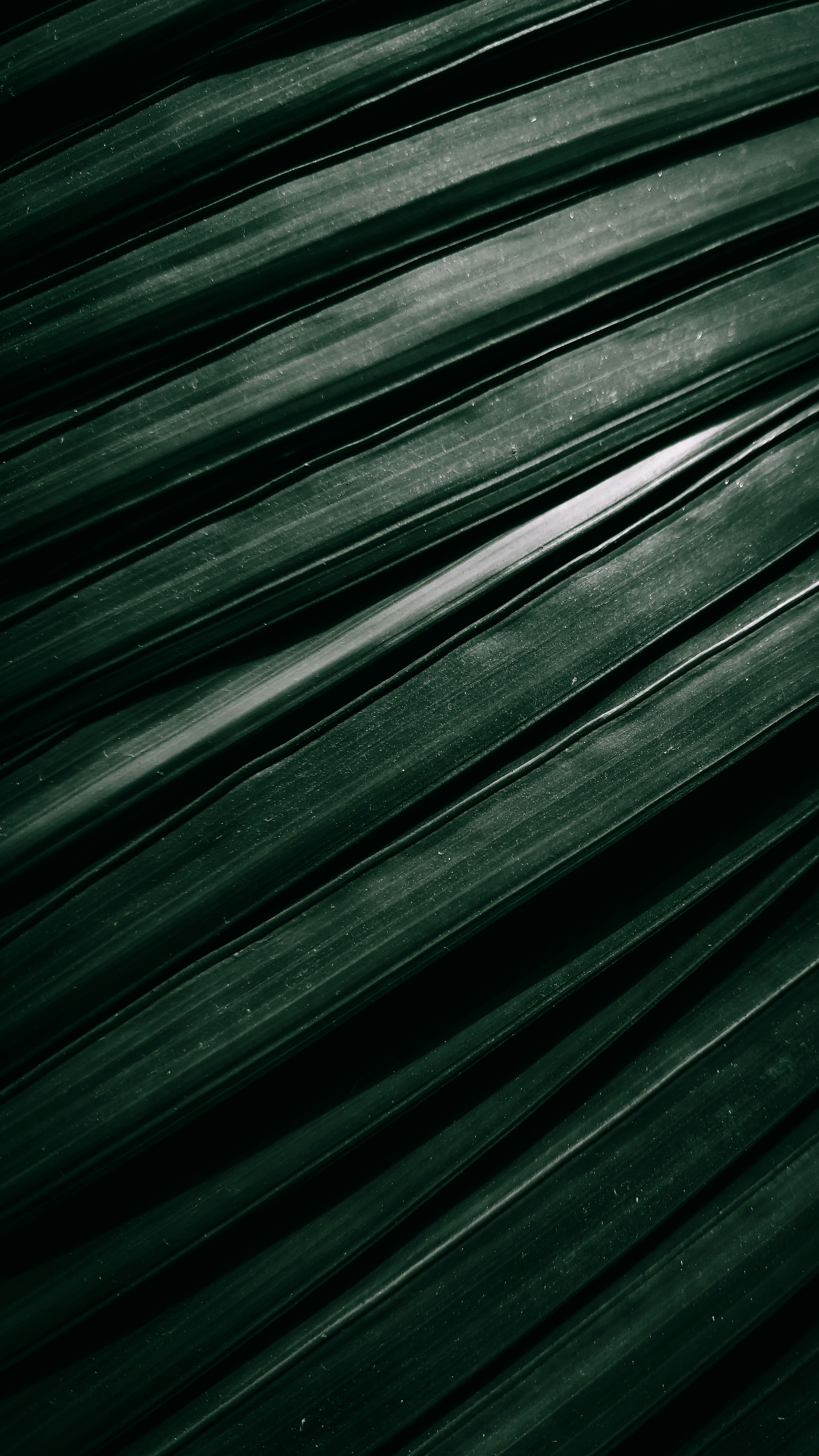 Photo by prithiviraj